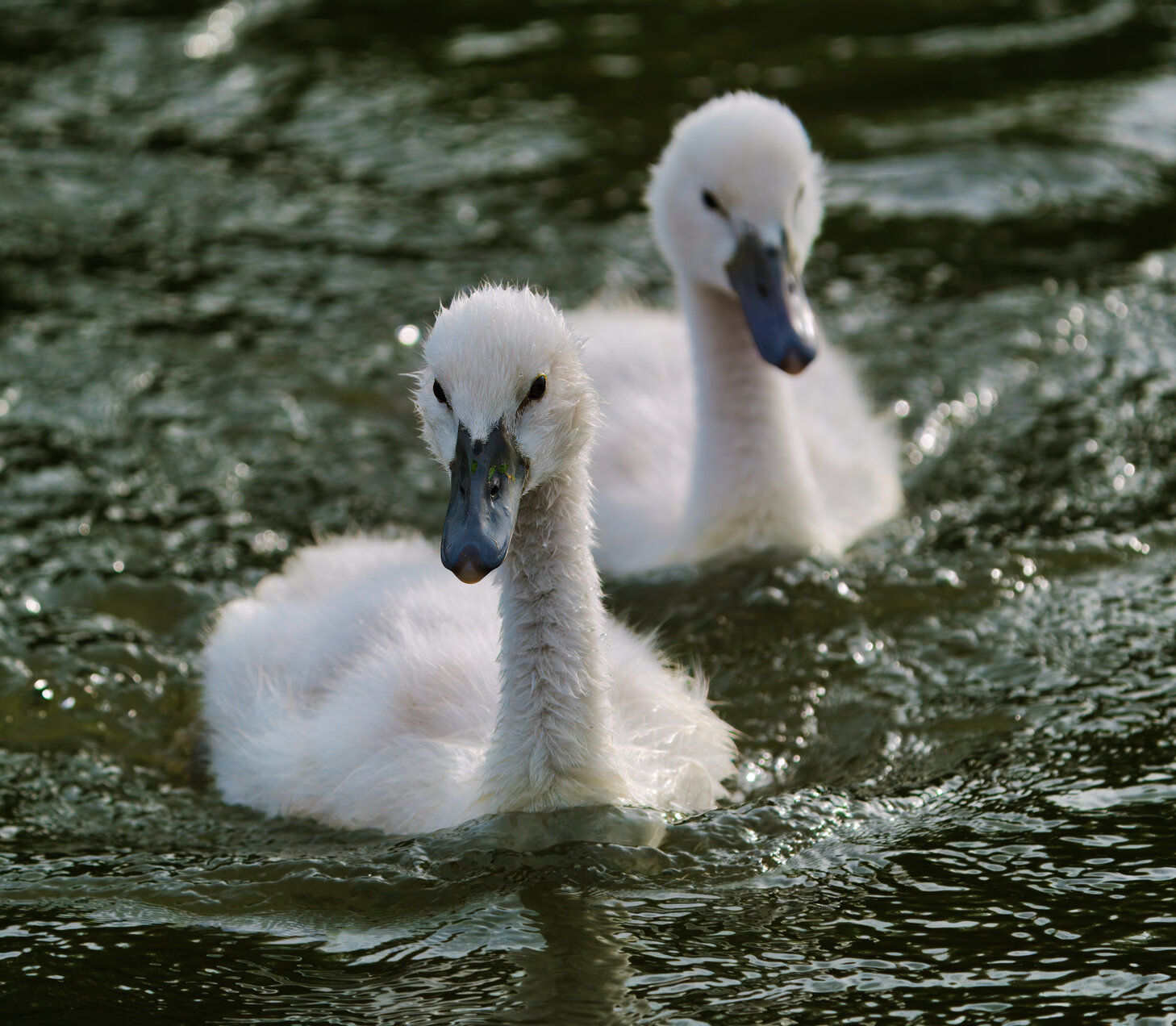 Fotowalk am Wasser bei goldenem Licht