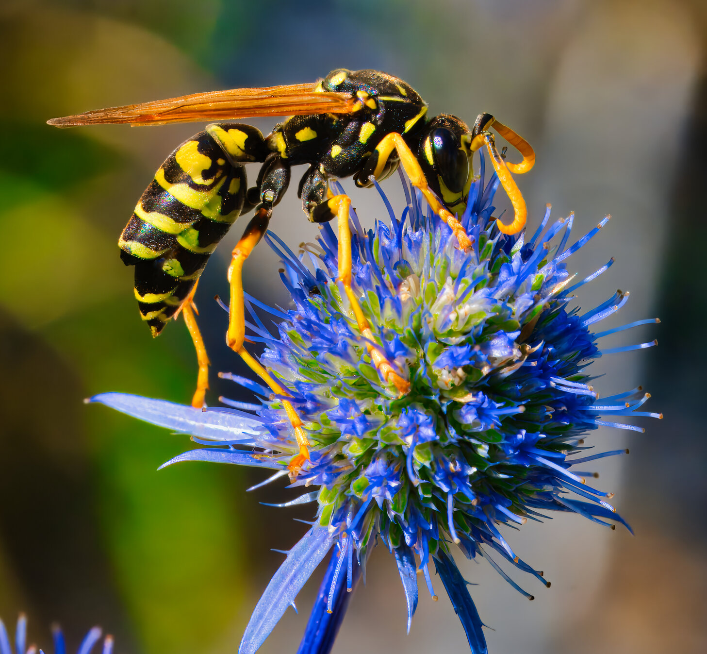 Sonnenaufgang über einer hügeligen Landschaft