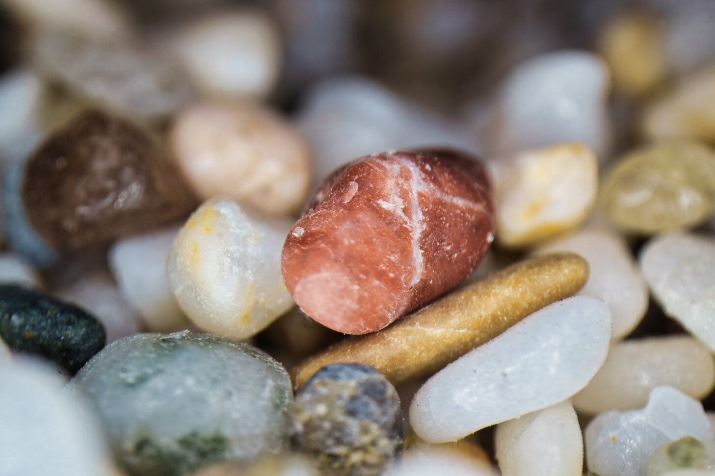 Nahaufnahme von Wassertropfen mit abstrakter Spiegelung